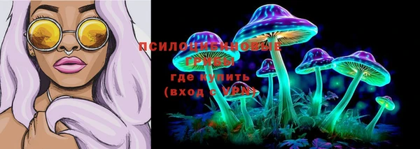 МДМА Ельня