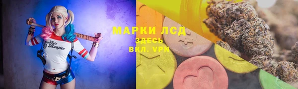 МДМА Ельня