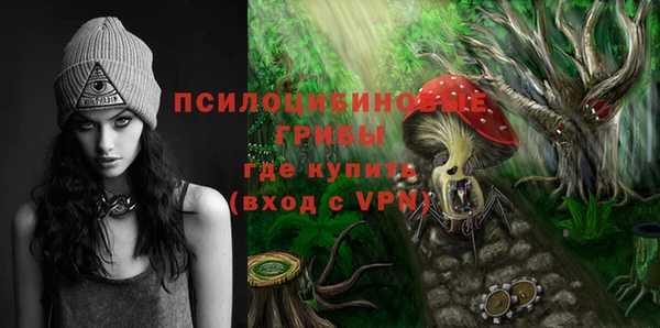 метамфетамин Елизово
