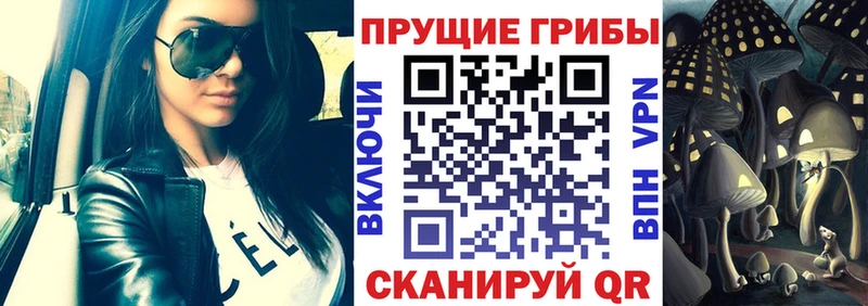 гидра рабочий сайт Зеленогорск Галлюциногенные грибы MAGIC MUSHROOMS купить